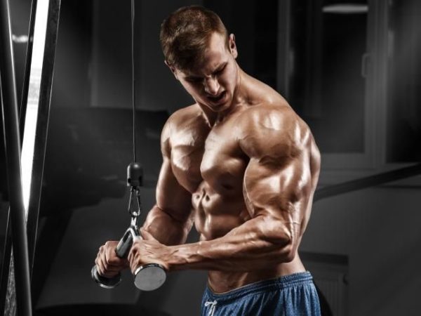 Outrageous Muscle Building Workouts